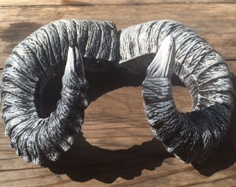Ram Horns Etsy
