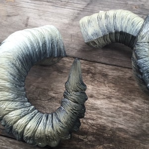 Natural Ram Horns,  "Marko" Saga Cosplay, Festivals, Cons & Performers rugged yet comfortable design