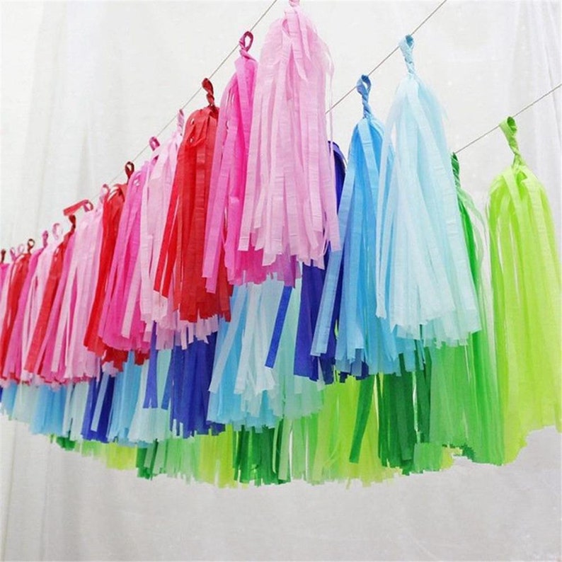 Birthday Baby Shower Wedding Party Same Day Shipping Monday-Saturday Tassel Garlands 5 Tissue Paper Tassels Garland DIY KIT
