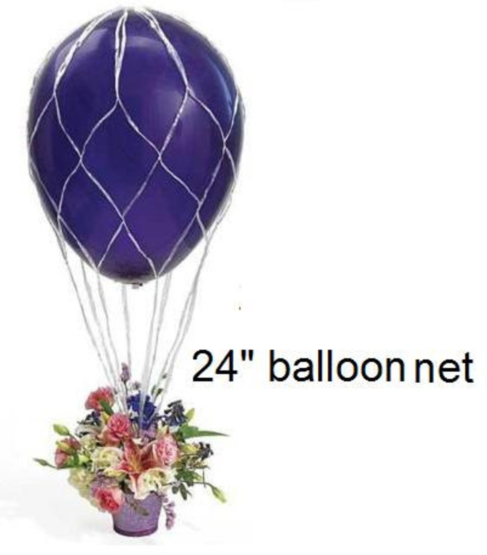 Balloon Net 