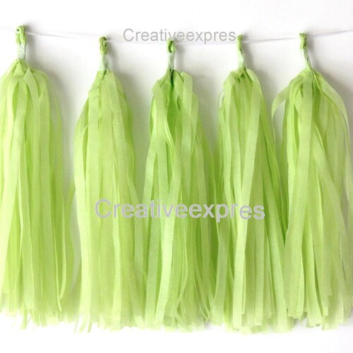 Tissue Paper Tassel Garlands 5 Pink Tassel Garlands DIY KIT Etsy
