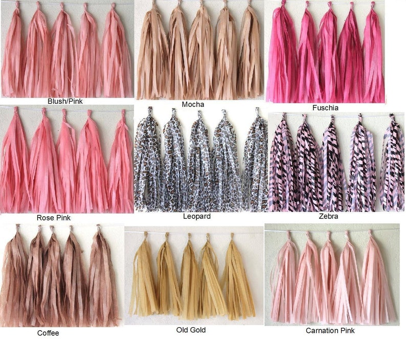 Birthday Baby Shower Wedding Party Same Day Shipping Monday-Saturday Tassel Garlands 5 Tissue Paper Tassels Garland DIY KIT