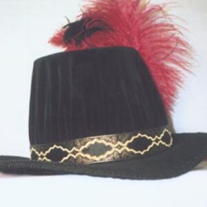 Elizabethan Tall Hat Bild 3