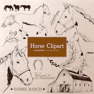 Handgetekende paard clipart, paard vector, commercieel gebruik, boerderij decor vectorafbeeldingen, Cottagecore paard kunst, vintage paard schetsen