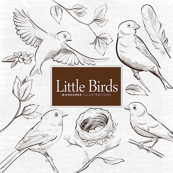 Hand Drawn Little Birds Clipart, Bird Prints, Commercial Use, Bird Vector Images, Bird Clipart, Black and White Birds