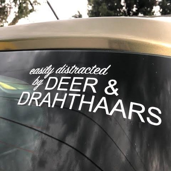 Easily Distracted By Deer and Drahthaars