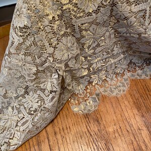 May include: Beige lace fabric with a gold metallic pattern. The lace has a delicate floral design.