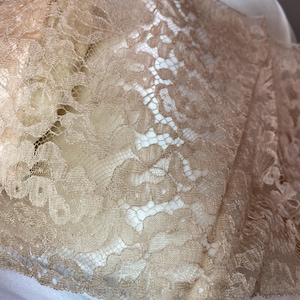 1 Meter. Antike französische beige Farbe Seide Alencon Spitze reizendes Design