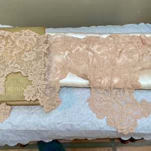 アンティークなフランスの刺繍入りネットレースの素敵なデザイン
