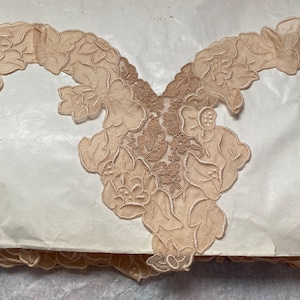 Antique French embroidered netting lace lovely design