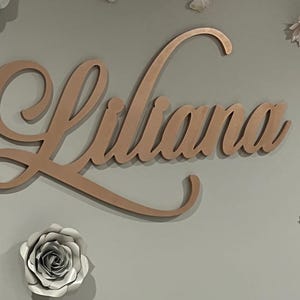 Baby Sophia Nursery Name Cutout Custom Wood Wall Name Sign Wall Hanging ...