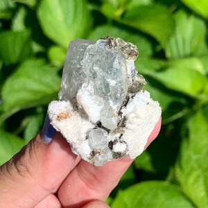 Puede incluir: Un c&uacute;mulo de cristales de aguamarina verde con una matriz blanca y gris. Los cristales son transparentes y tienen un ligero tono verde. La matriz es rugosa y texturizada.