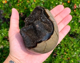 Septarian geode egg with stand included sticky putty for security