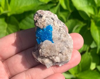 Cavansite crystal raw specimen from India, you pick