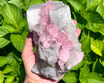 Pink tourmaline specimen from paprok mine Afghanistan 3.8 pounds