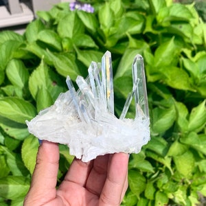 Lemurian Quartz crystal cluster from Brazil, you pick