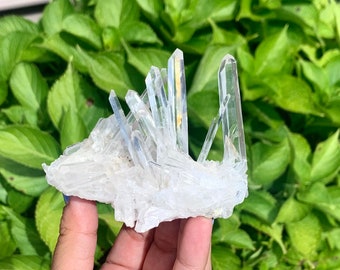 Lemurian Quartz crystal cluster from Brazil, you pick