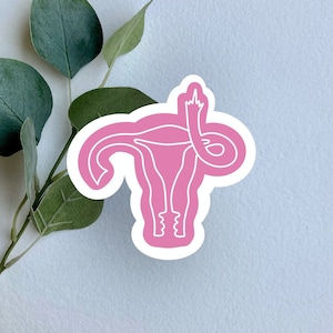 Uterus Sticker, Women's Reproductive Rights Vinyl Sticker, Pro-choice sticker, Protect Roe v Wade Sticker, Feminist Sticker, Feminism Decal