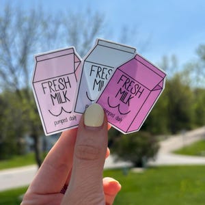 Fresh Milk Pumped Daily Vinyl Sticker, Breastfeeding Awareness, Breast Feeding Stickers, Stickers for Pumping Moms, Pink Milk Carton