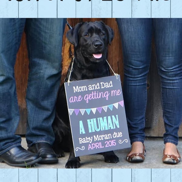 Guard Dog Pregnancy Announcement Chalkboard Poster | Dog on Duty Pregnancy Reveal | Human | Big Bother | Pet Pregnancy | *DIGITAL FILE*