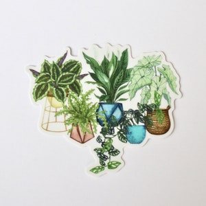 House Plant Sticker, Plant Sticker, Indoor Plant Sticker, Laptop Sticker, Water Bottle Sticker, Laptop Decal, Sticker for Water Bottle