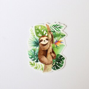 May include: A watercolor illustration of a brown sloth hanging from a tree branch with green leaves and a colorful bird.