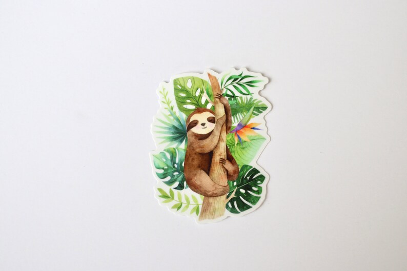 May include: A watercolor illustration of a brown sloth hanging from a tree branch with green leaves and a colorful bird.