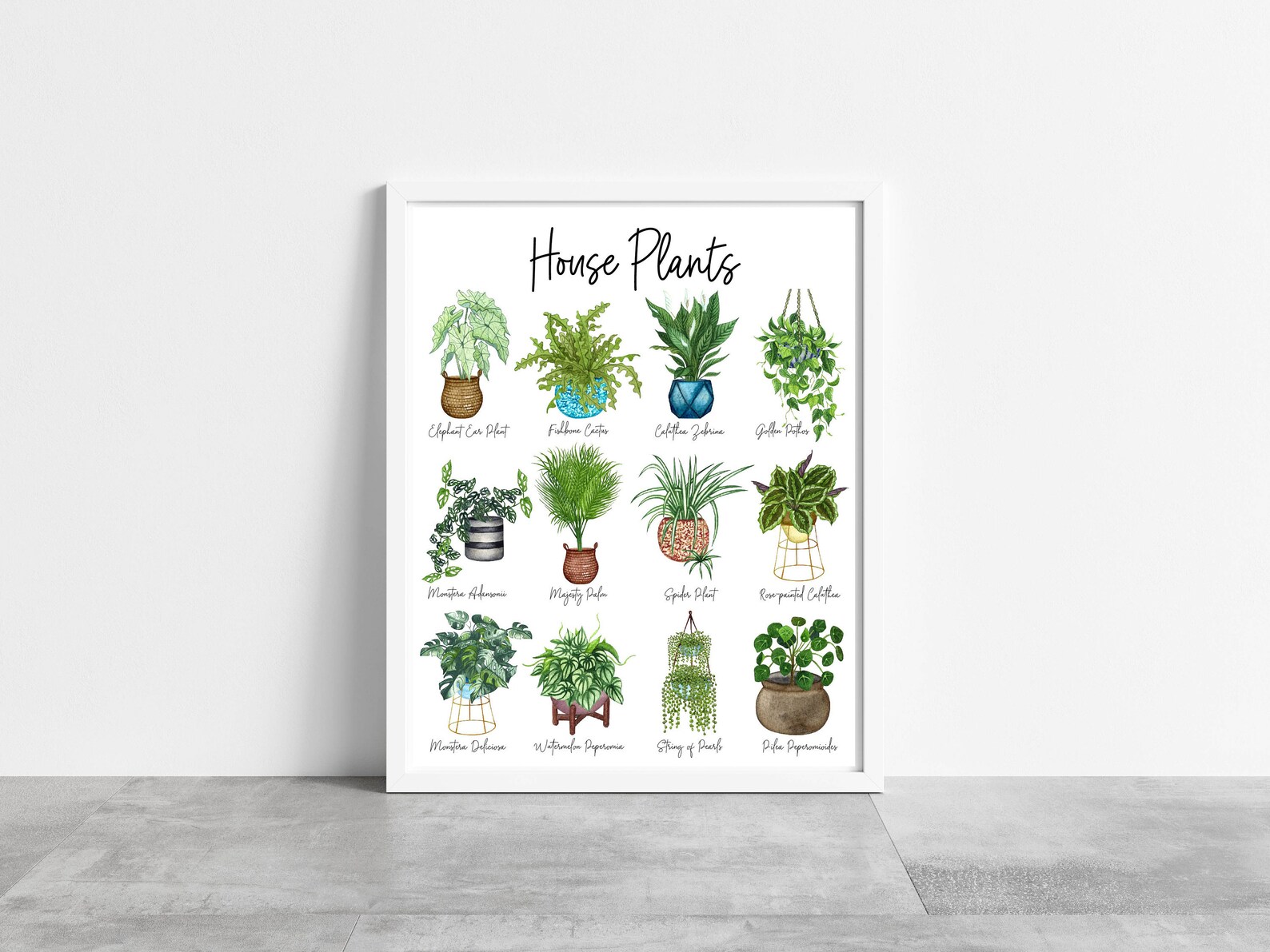 House Plants Print House Plants Art Print House Plants Etsy