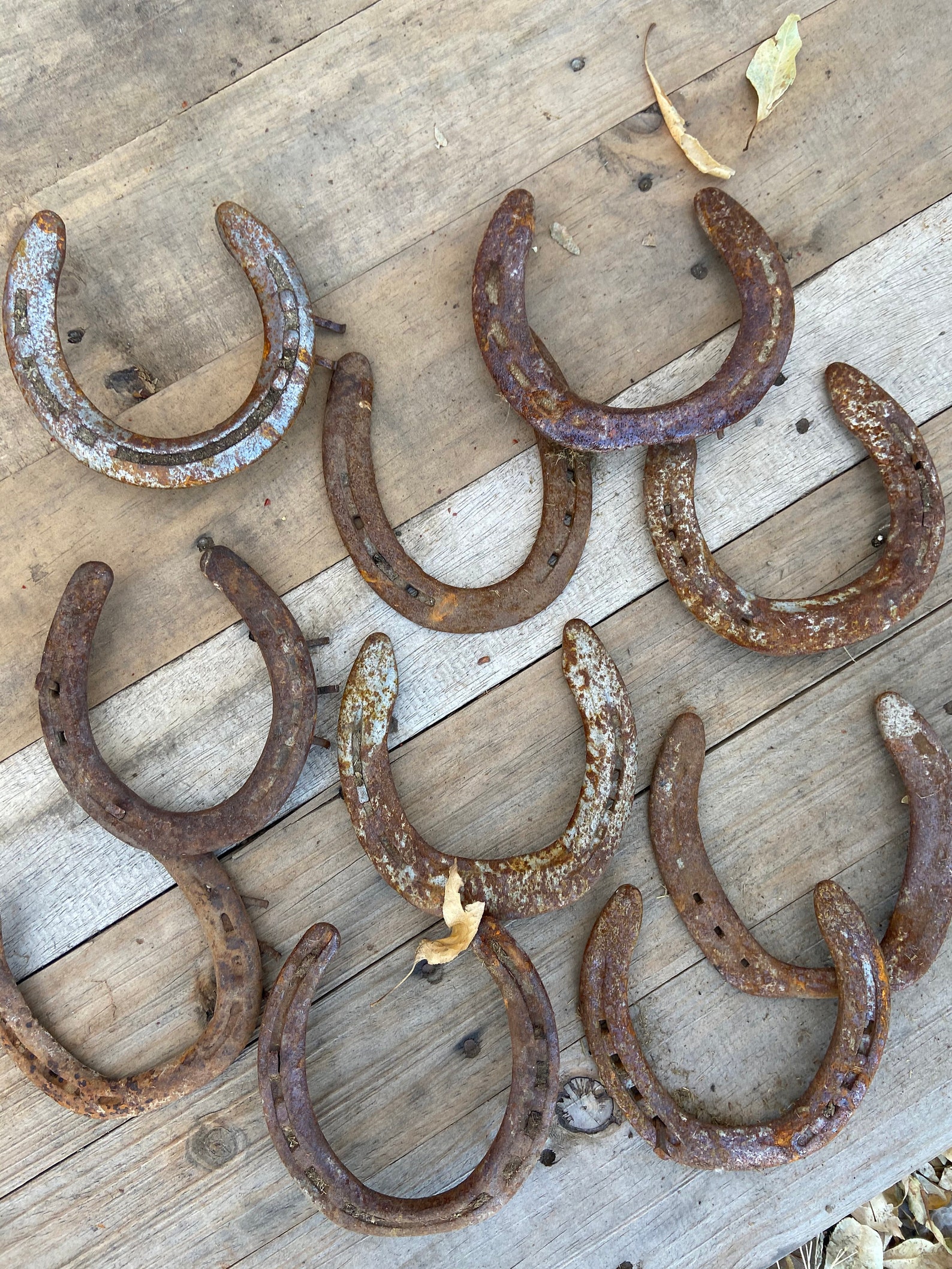 Used Horse Shoe Single Used Horseshoe Horseshoe For Crafts Etsy