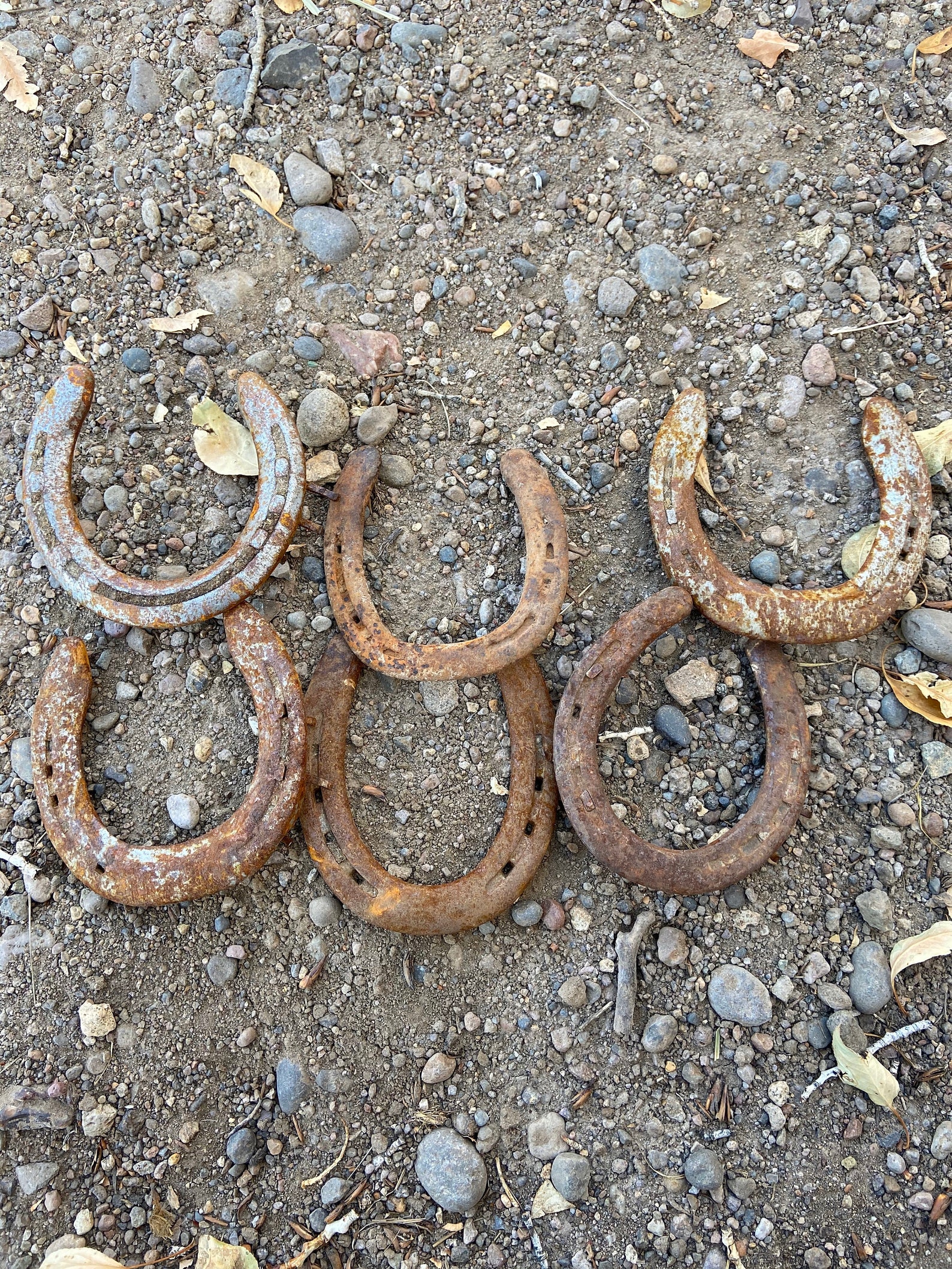 Used Horse Shoe Single Used Horseshoe Horseshoe For Crafts Etsy