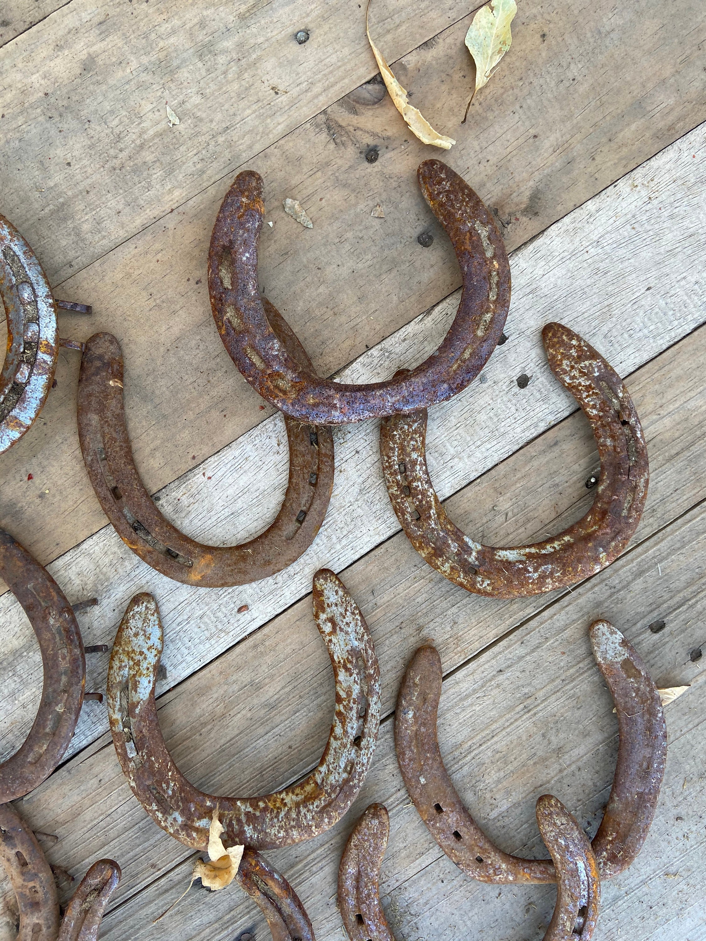 Crafts Using Horseshoes