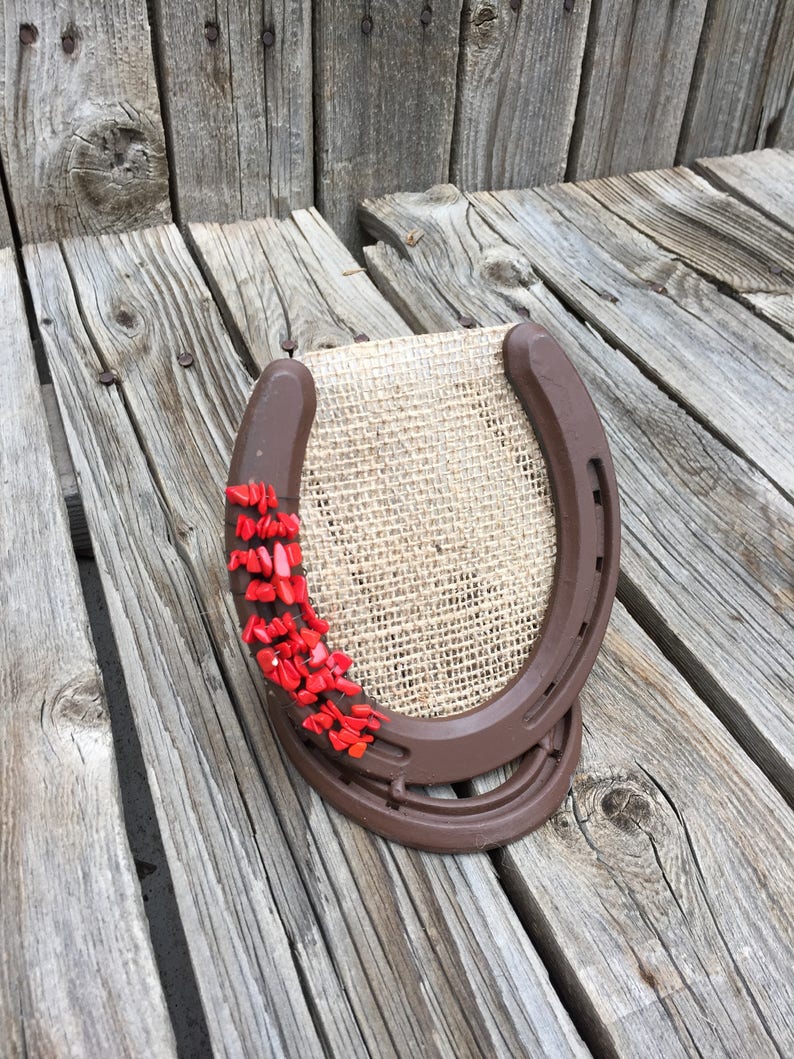 Brown Lucky Horseshoe Earring Holder Horse lover gift to organize jewelry