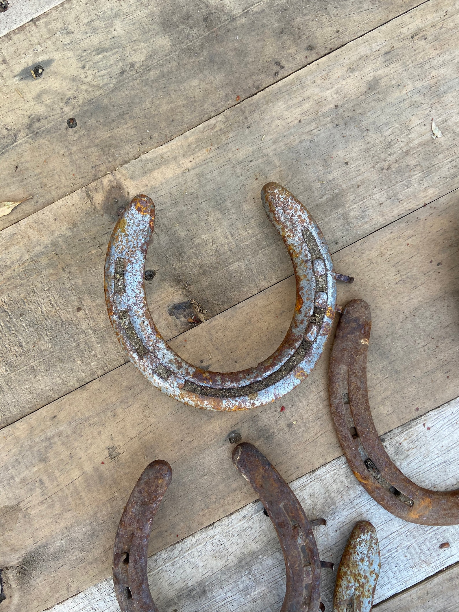 Set of 2 Used Horseshoes Horseshoe for Crafts Real Lucky Etsy