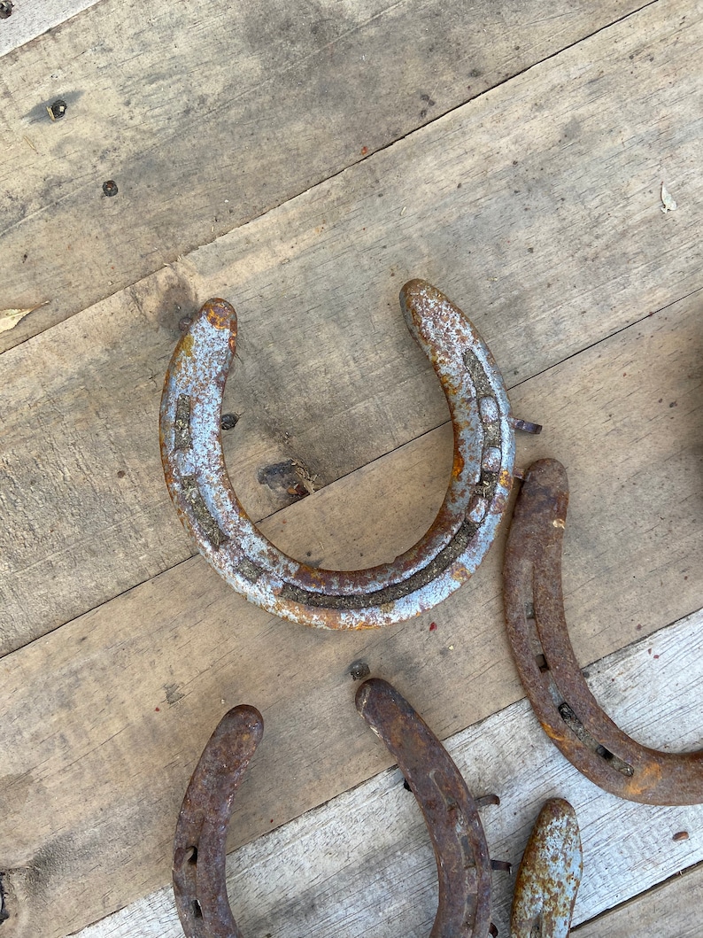Used Horse Shoe Single Used Horseshoe Horseshoe For Crafts Etsy