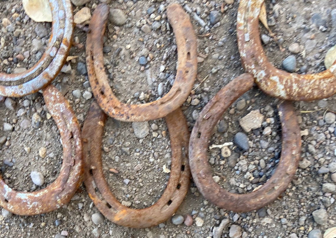 Package of 20 Used Horseshoes Horseshoe for Crafts Real Etsy