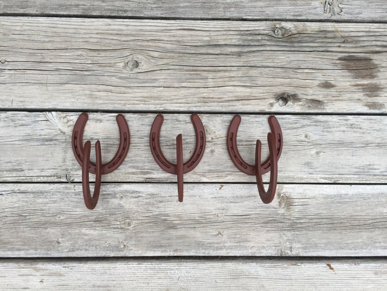Hooks Horseshoe Decor Art Image 0
