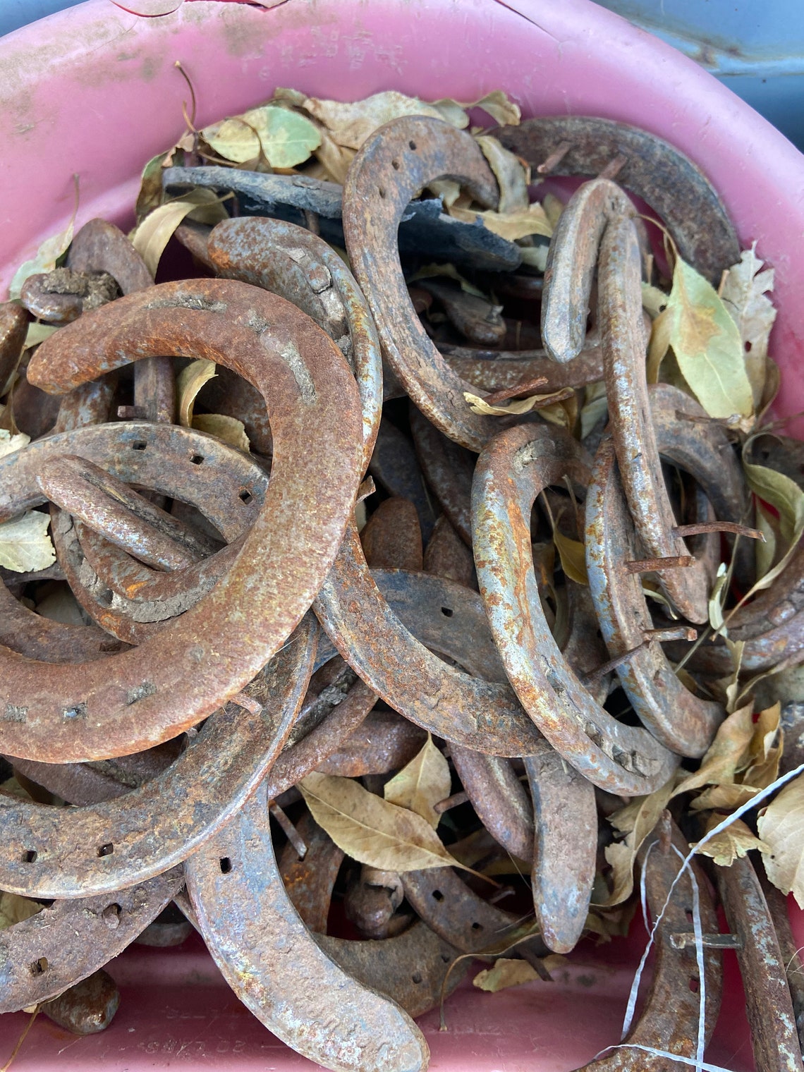 Used Horse Shoe Single Used Horseshoe Horseshoe for Crafts Etsy