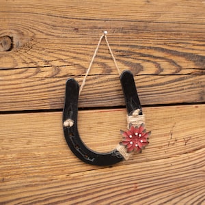 Lucky Horseshoe, hoefijzer voor toegangsweg, hoefijzerdecor, gebruikt hoefijzer, zegeningenbrenger, vintage geïnspireerd gelukstoken