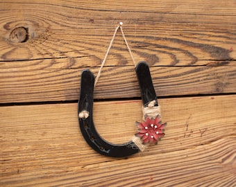 Lucky Horseshoe, Horseshoe for Entry Way, Horseshoe Decor, Used Horseshoe, Blessings Bringer, Vintage-inspired Luck Token