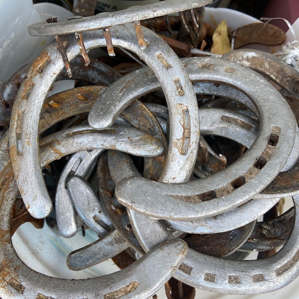 Used Horse Shoe, Single Used Horseshoe, Horseshoe For Crafts, Real Lucky Horse Shoe, Equestrian Gift, Horseshoe Craft Supply