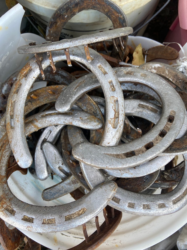 How Much Does A Set Of Horseshoes Cost at Terry Zavala blog