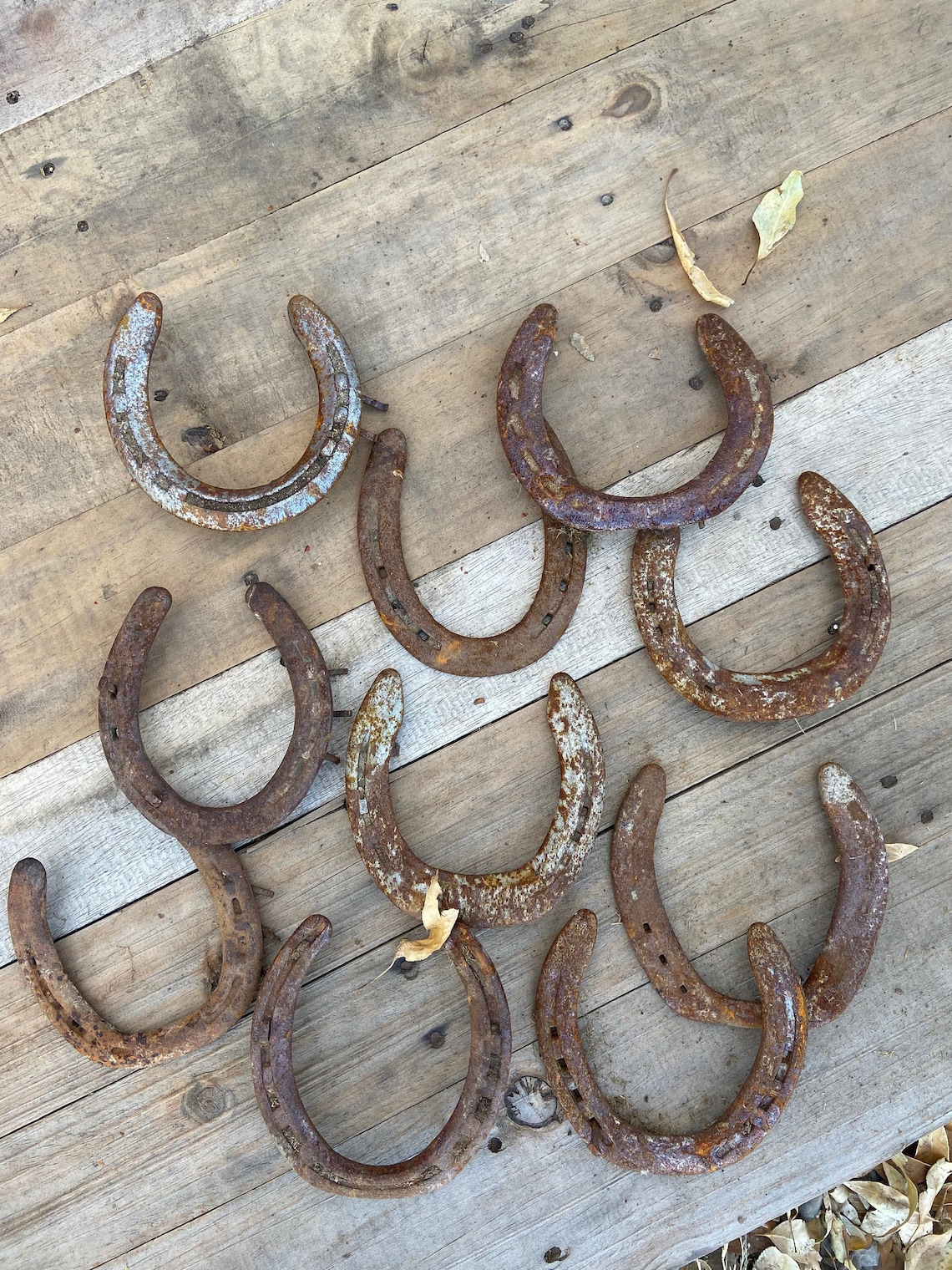 Package of 20 Used Horseshoes Horseshoe for Crafts Real Etsy
