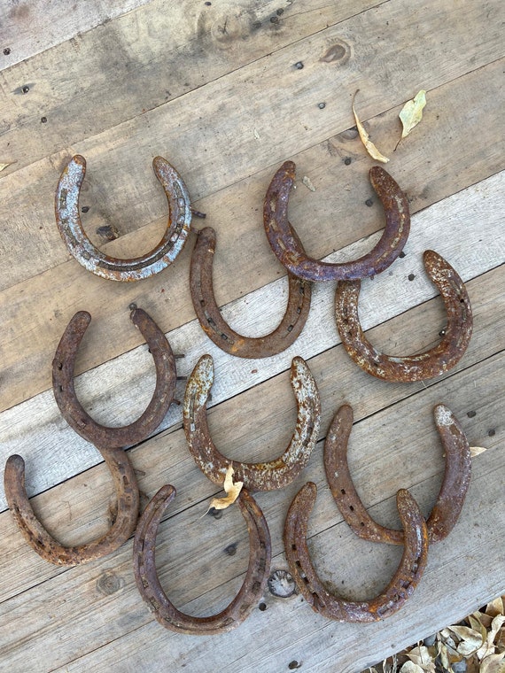 Set of 2 Used Horseshoes, Horseshoe for Crafts, Real Lucky Horse Shoe,  Equestrian Gift, Horseshoe Craft Supply 