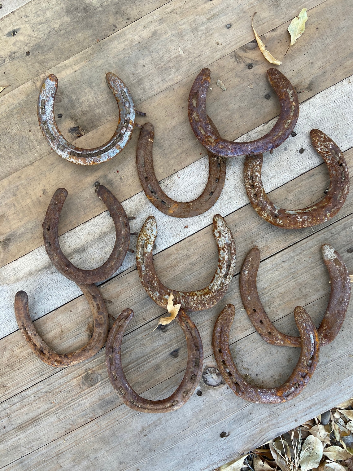 Package of 20 Used Horseshoes Horseshoe for Crafts Real Etsy