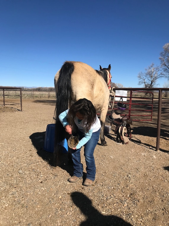 Perché il ferro di cavallo è un portafortuna? | Univers Cheval