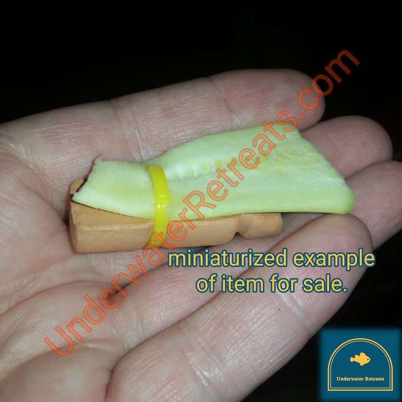 gravity anchor sinker stone crayfish bottom feeders Aquarium Safe oto Made for mid-sized Pleco shrimp Medium KuboChini clay weight