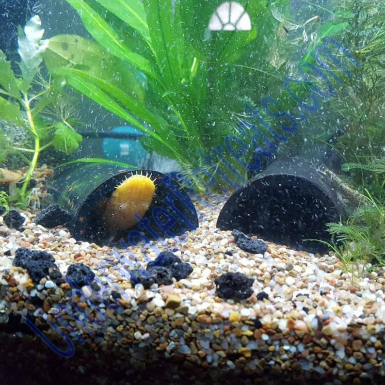 Triangle clay cave shelter \u2022 Closed rear glazed \u2022 Pleco Crayfish Cichlid Betta Tank decor \u2022 Fish hide \u2022 Aquarium Safe smooth pottery house