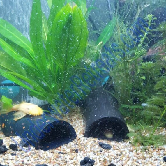 Cichlid Bottom Feeders Aquarium Safe Inert Terra Cotta 5x2 Closed