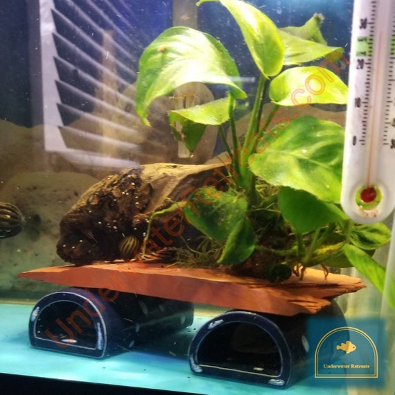Xxxl Hide Fish Tank Decorations Snake Reptile Shelter Etsy