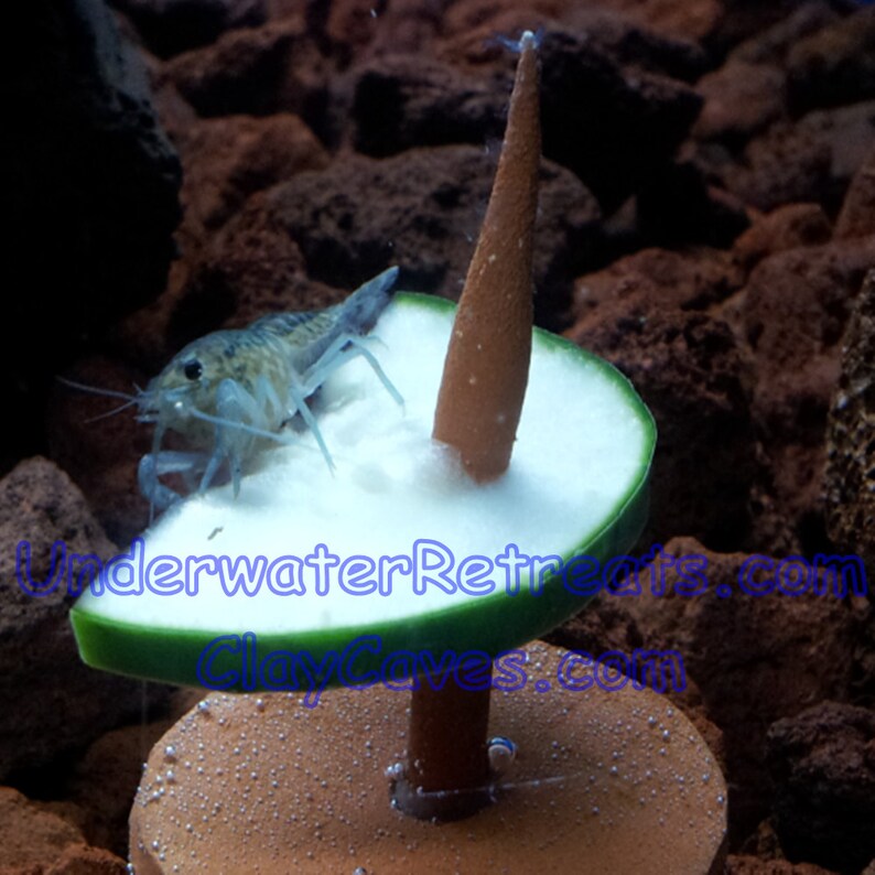 Glazed Clay food weight Ring Holder Twisted skewer spike Pleco loach crayfish snail purple blue TTRPG DND TERRAIN image 5